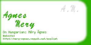 agnes mery business card